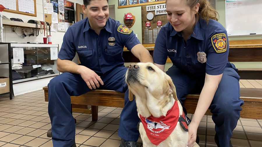 LAFD Foundation Mascot Contest