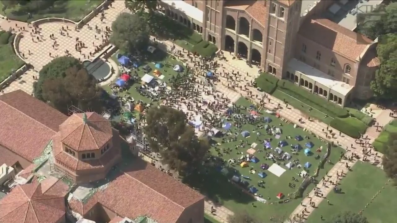 Pro-Palestine demonstration grows