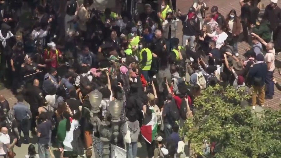 USC, Palestine protester scuffle