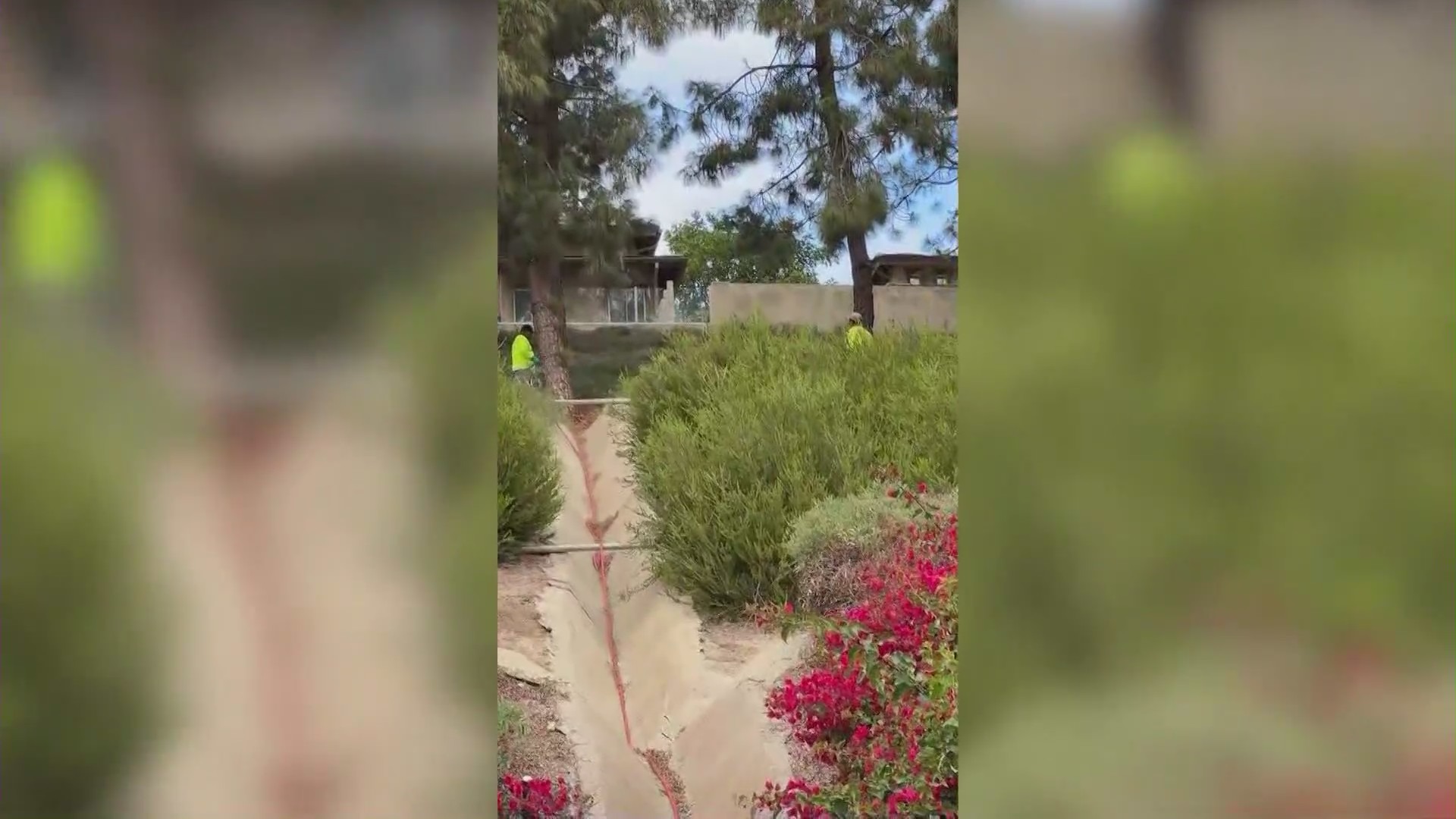 Workers contracted by the Aliso Viejo Community Association spraying herbicides at a local park. (Carolyn McCuan)