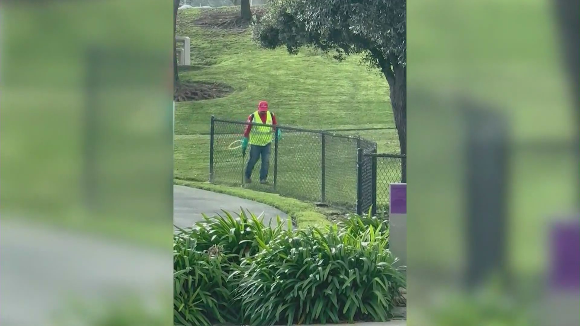 Workers contracted by the Aliso Viejo Community Association spraying herbicides at a local park. (Carolyn McCuan)