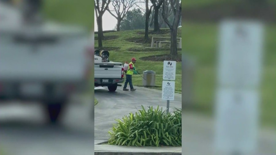 Workers contracted by the Aliso Viejo Community Association spraying herbicides at a local park. (Carolyn McCuan)