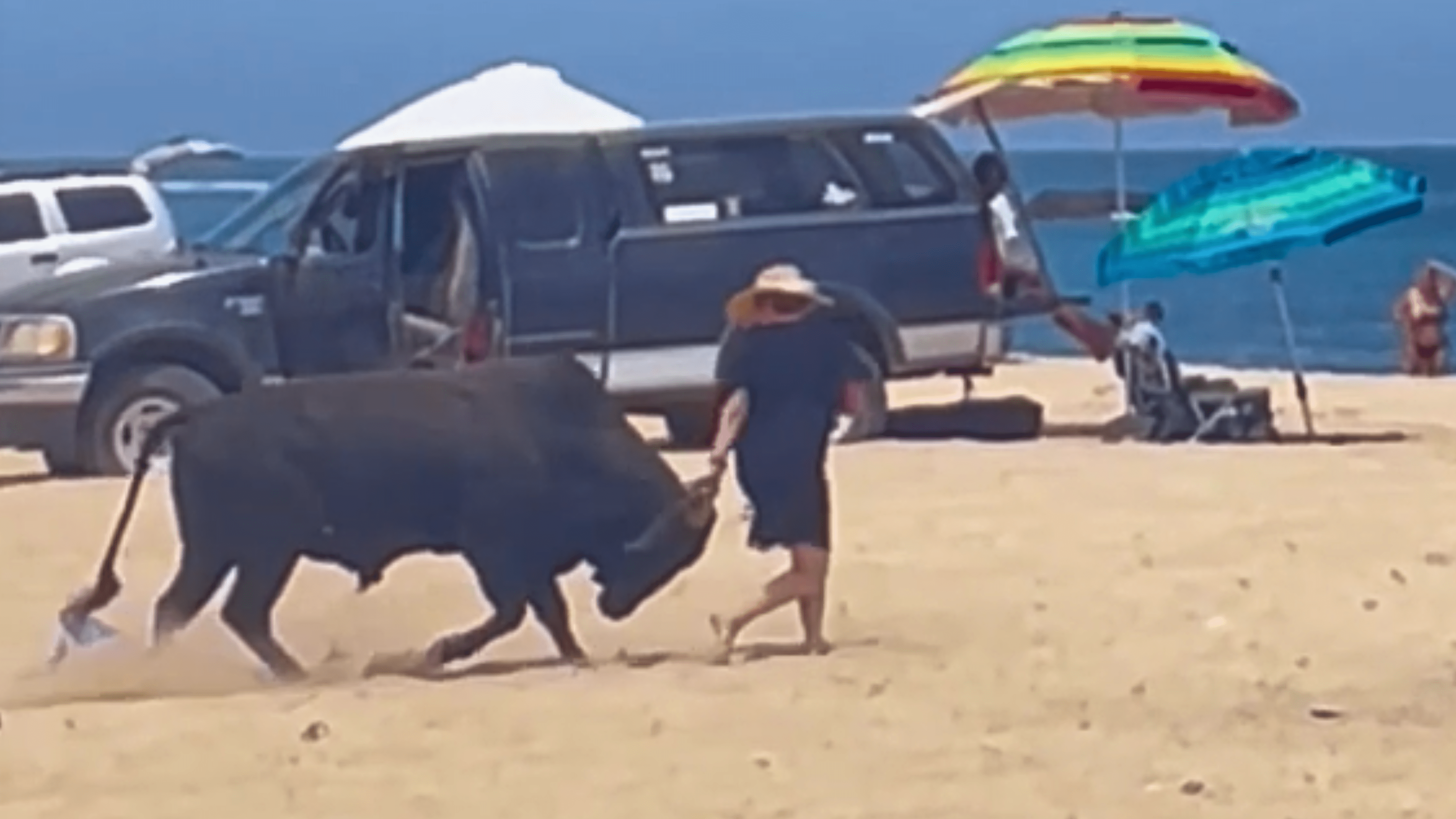 A bull is seen charging at a woman on a beach in Mexico's Baja California Sur on May 11, 2024.