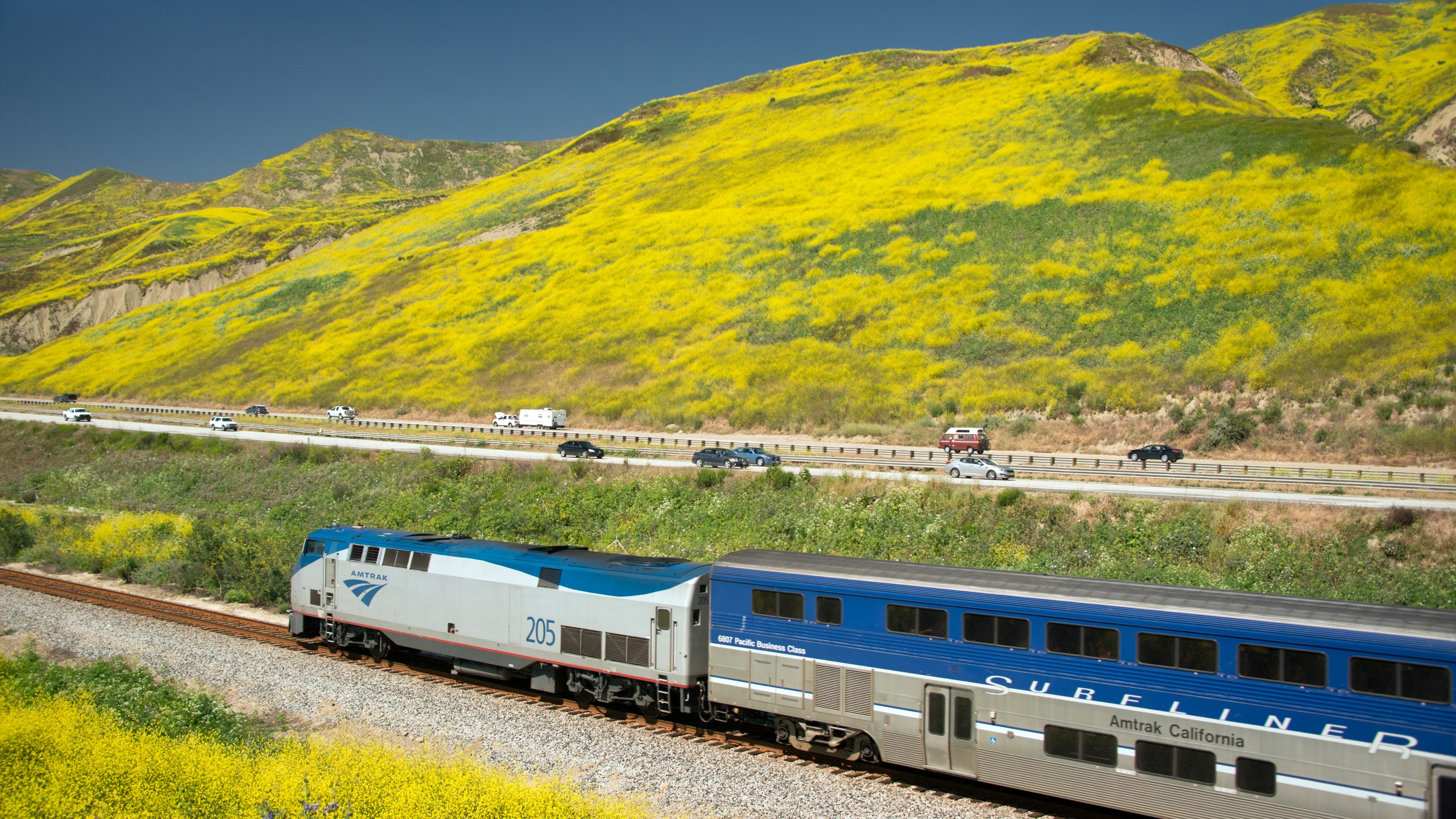 An Amtrak Surfliner passenger train runs along track parallel to Pacific Ocean and spring flower lined hills of Highway 101 along the California Coast between Ventura and Santa Barbara California USA (Photo by Nik Wheeler/Corbis via Getty Images)