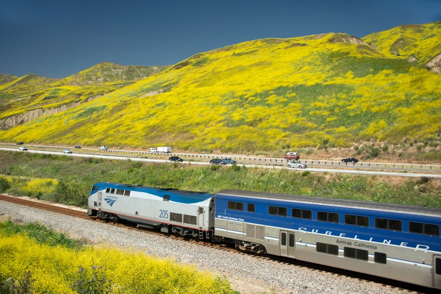 An Amtrak Surfliner passenger train runs along track parallel to Pacific Ocean and spring flower lined hills of Highway 101 along the California Coast between Ventura and Santa Barbara California USA (Photo by Nik Wheeler/Corbis via Getty Images)