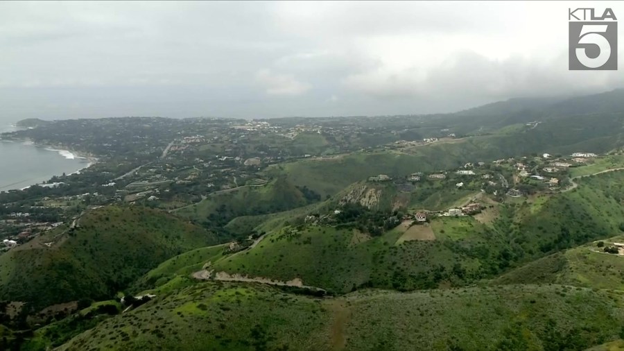 Malibu Hillside