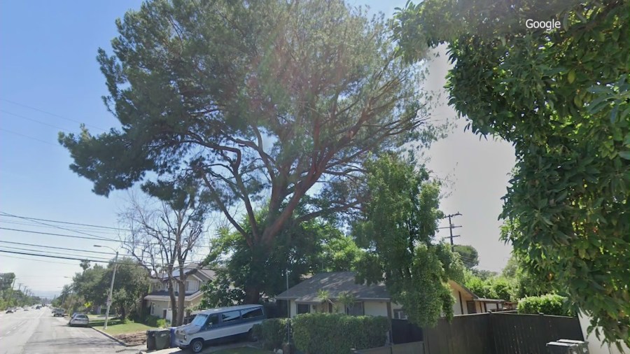 The Monrovia home and the large pine tree are seen back in 2022. (Google Earth)