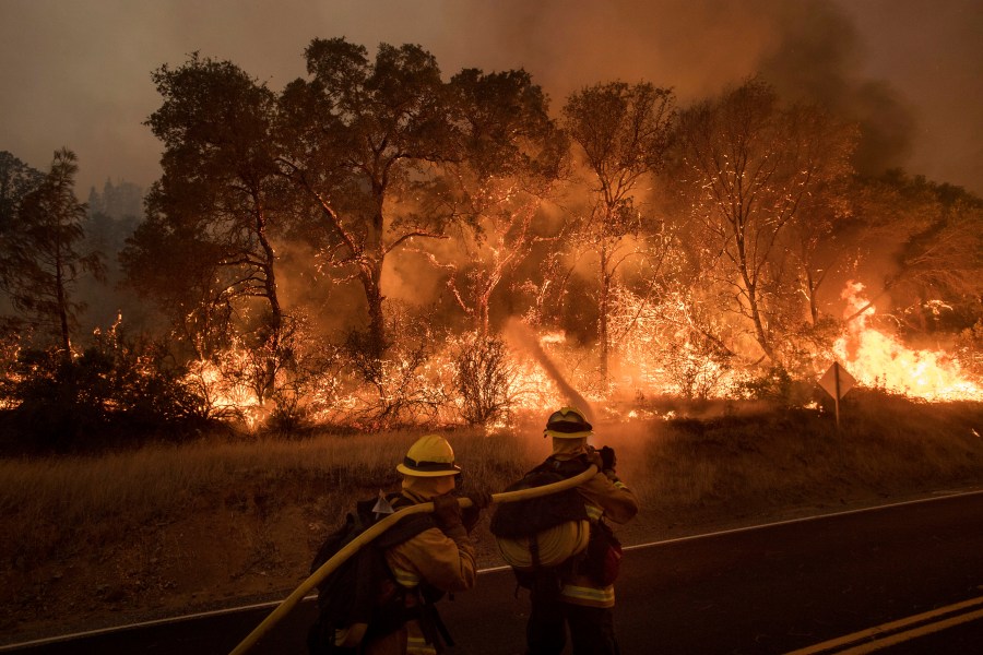 Firefighters battle a wildfire as it threatens to jump a road near Oroville, Calif., on Saturday, July 8, 2017. Evening winds drove the fire through several neighborhoods leveling homes in its path. (AP Photo/Noah Berger)