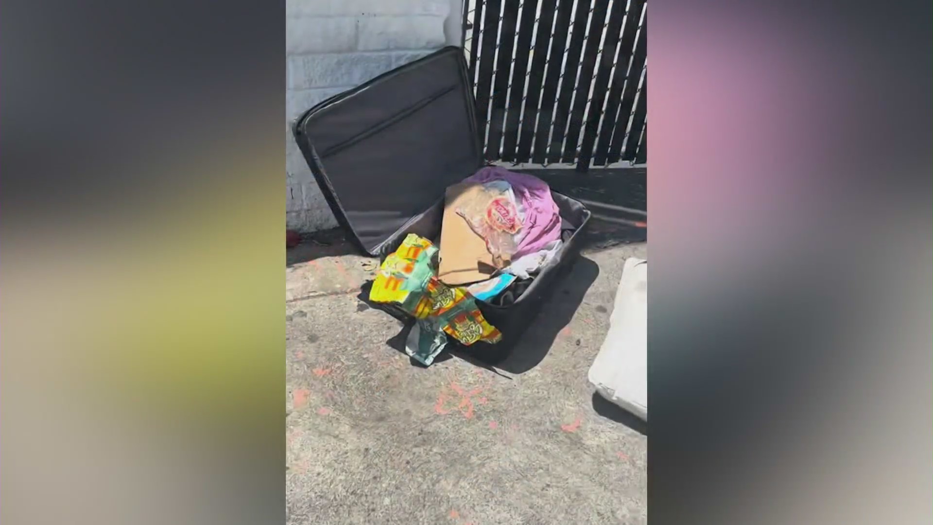 Luggage lost on flight American Airlines flight found in Hollywood homeless encampment