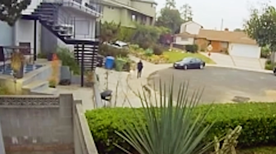 Pack of six coyotes prowling around SoCal neighborhood