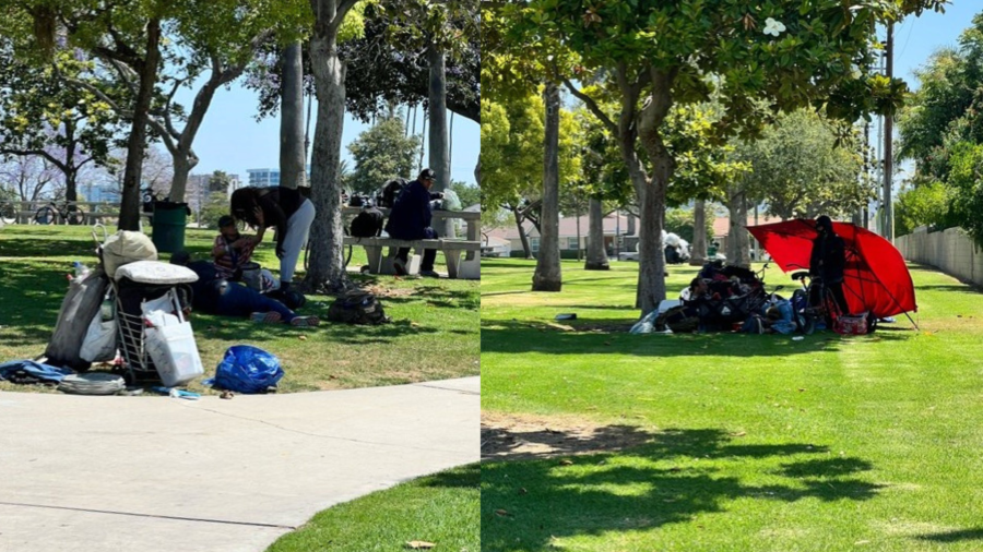 Several homeless encampments are seen at Stoddard Park in Anaheim. (Amy Robbins)