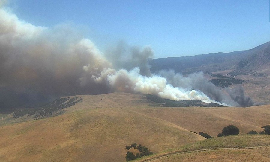 The Gorman Fire burning near the 5 Freeway has forced evacuations on June 15, 2024. (L.A. County Fire Department, PG&E)