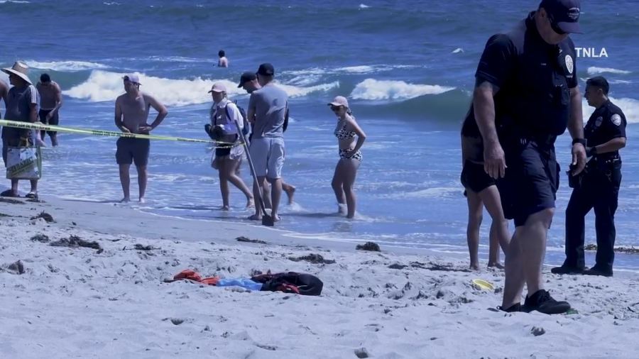 One person was stabbed and another injured after a large brawl broke out on the beach near the Santa Monica Pier on June 29, 2024. (TNLA)