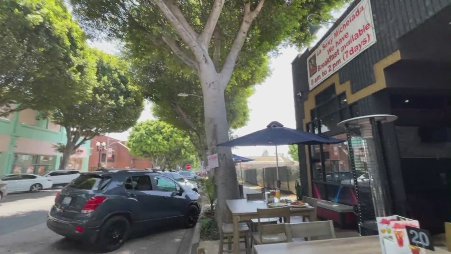 Large ficus trees line Greenleaf Avenue in Uptown Whittier. (KTLA)