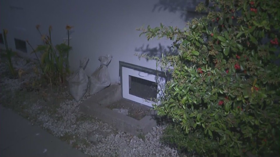 The crawlspace at Phaedra Harris' Leimert Park home where a family of coyotes were discovered living inside. (KTLA)