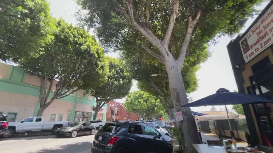 Ficus trees line Greenleaf Avenue in Uptown Whittier, a district filled with mom-and-pop shops and restaurants. (KTLA)