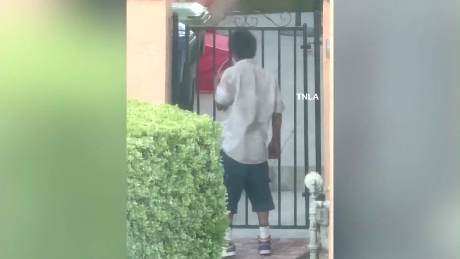 The suspect was seen peering into the backyard gates of several homes before reportedly hopping a fence on June 13, 2024. (TNLA)