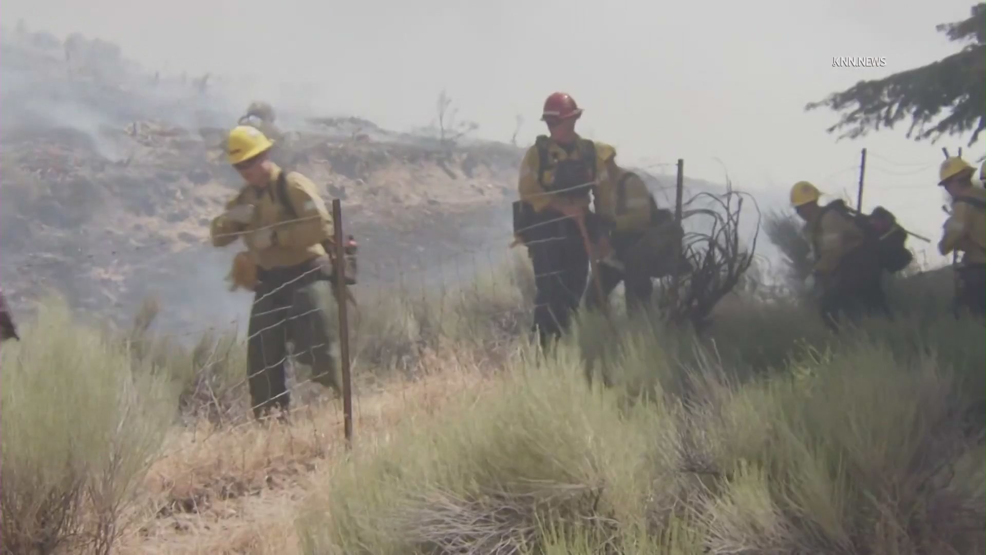 Firefighters battling Post Fire in Gorman on June 14, 2024. (KNN)