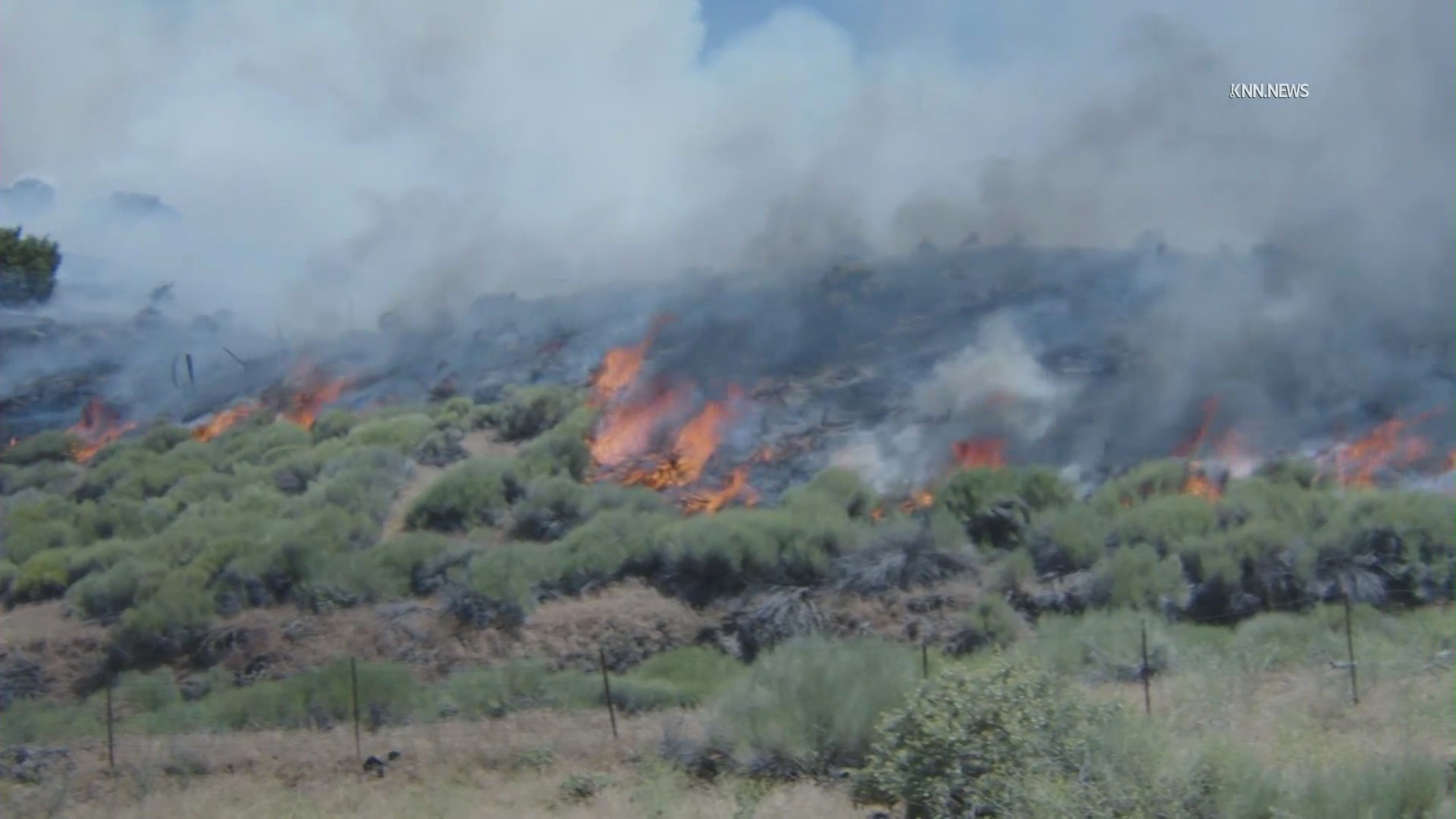 The Post Fire is seen burning near the 5 Freeway in Gorman, forcing evacuation orders on June 15, 2024. (KNN)