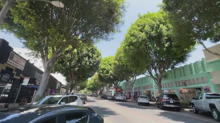 Ficus trees line Greenleaf Avenue in Uptown Whittier. (KTLA)