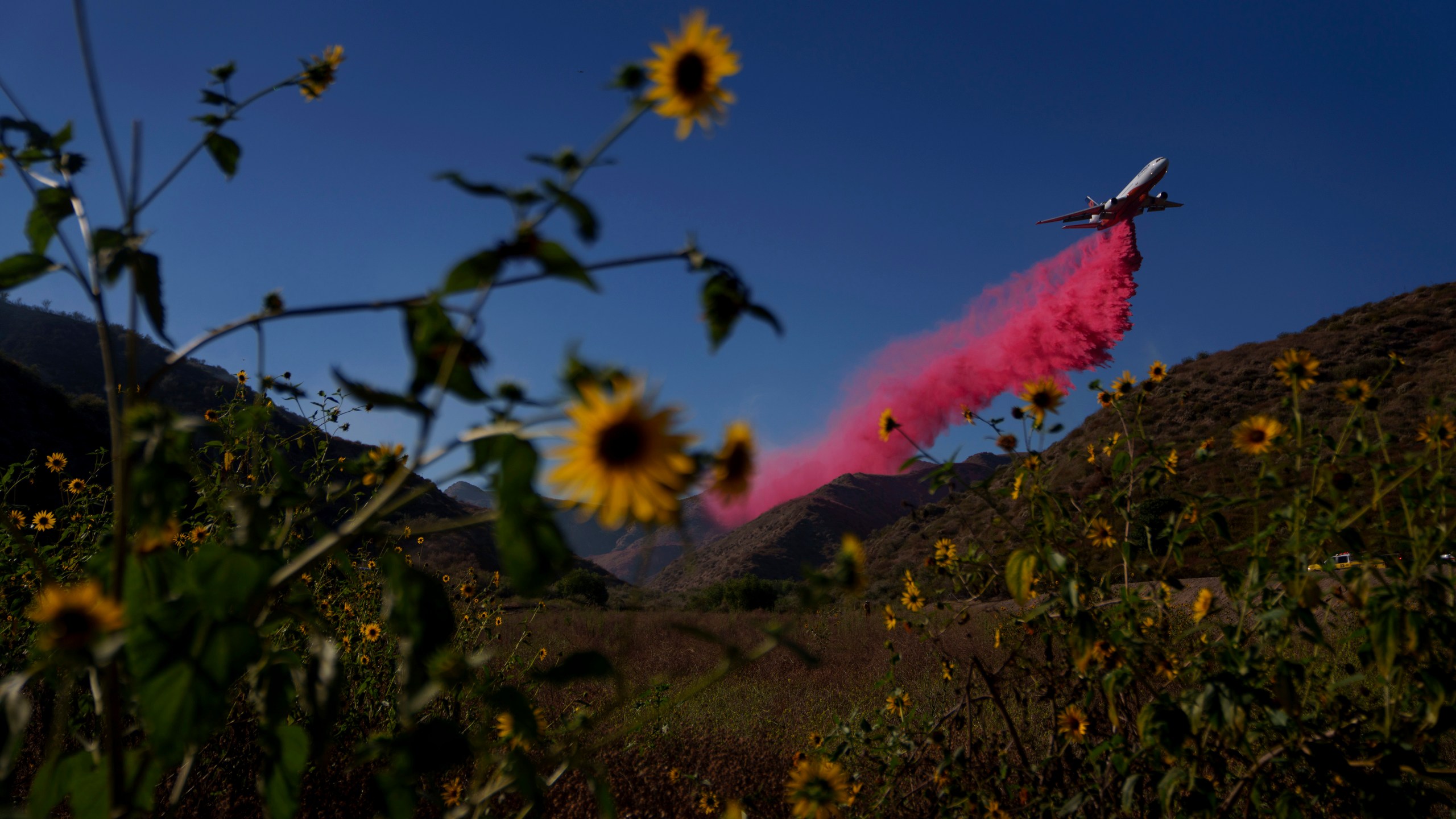 A plane drops retardant on a hillside during the Sharp Fire in Simi Valley, Calif., Wednesday, July 3, 2024. (AP Photo/Eric Thayer)