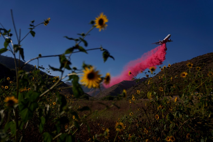 A plane drops retardant on a hillside during the Sharp Fire in Simi Valley, Calif., Wednesday, July 3, 2024. (AP Photo/Eric Thayer)