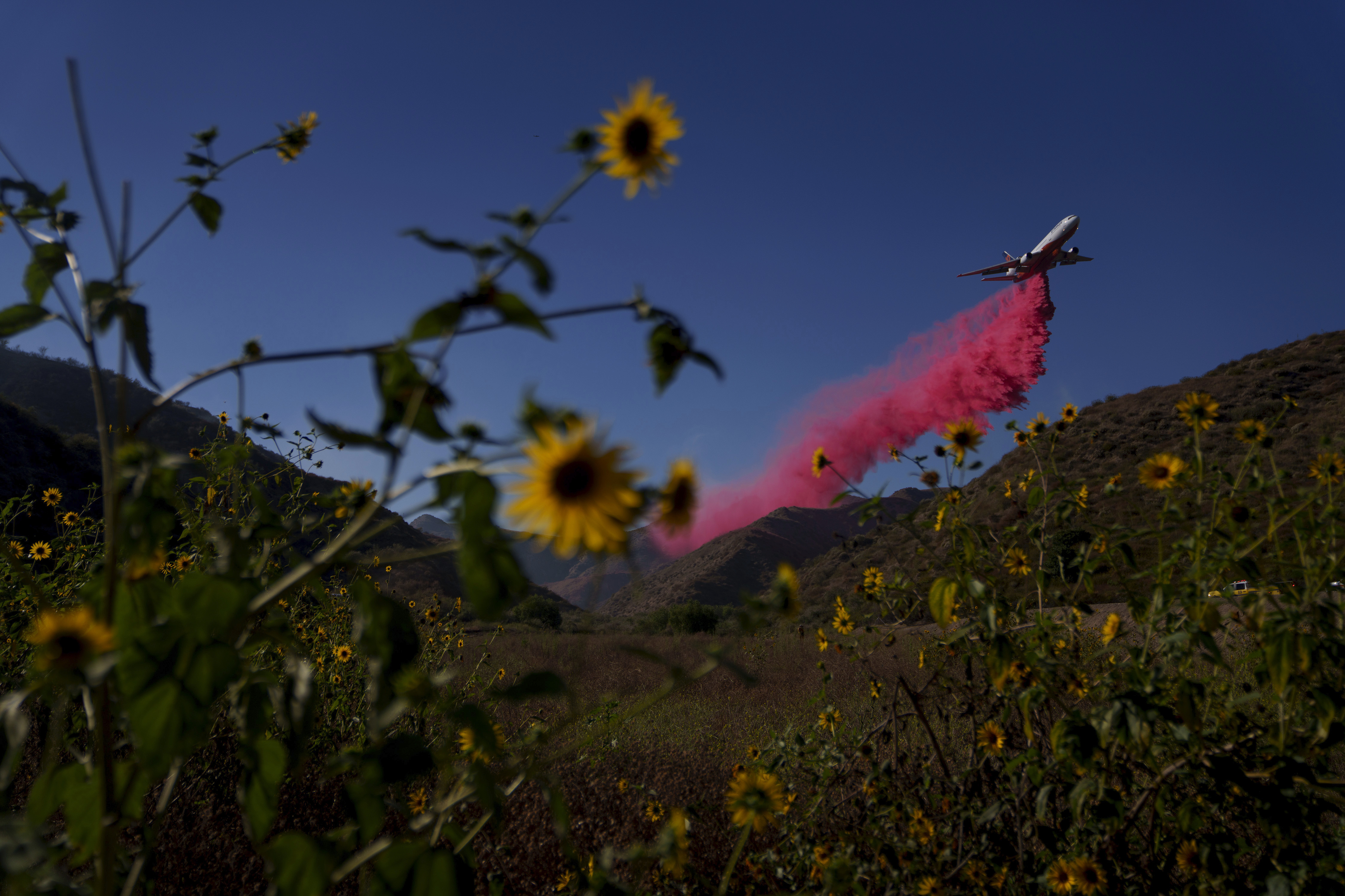 A plane drops retardant on a hillside during the Sharp Fire in Simi Valley, Calif., Wednesday, July 3, 2024. (AP Photo/Eric Thayer)