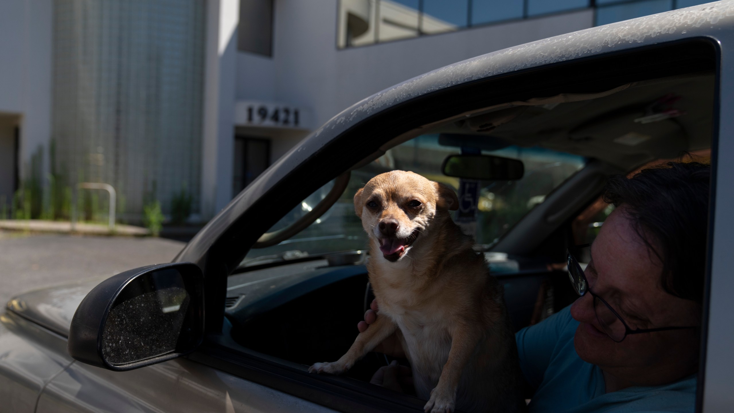 Sherri Thompson, with her chihuahua 14-year-old Kiwahi, waits in her vehicle for the Cook Plaza cooling center to open on Friday, July 5, 2024, in Gresham, Ore. Thompson has lived in her car for three years, and can only run its air conditioning for about 20 minutes at a time as it causes the engine to overheat. A heat wave is spreading across Wester U.S., the national Weather Service said, sending many residents in search of a cool haven from the dangerously high temperatures. (AP Photo/Jenny Kane)