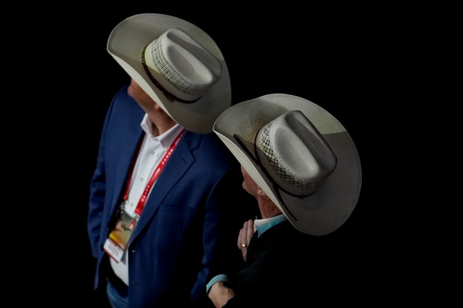 Texas delegates watch during the Republican National Convention Tuesday, July 16, 2024, in Milwaukee. (AP Photo/Charles Rex Arbogast)