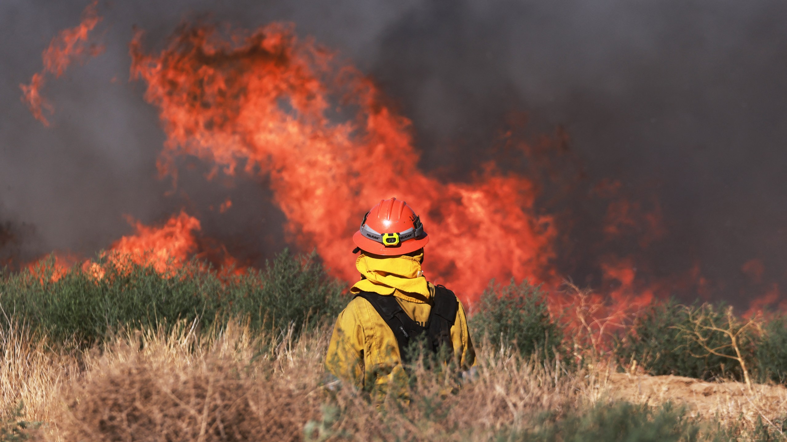 Firefighter battling wildfire in Southern California. (Photo by DAVID SWANSON/AFP via Getty Images)