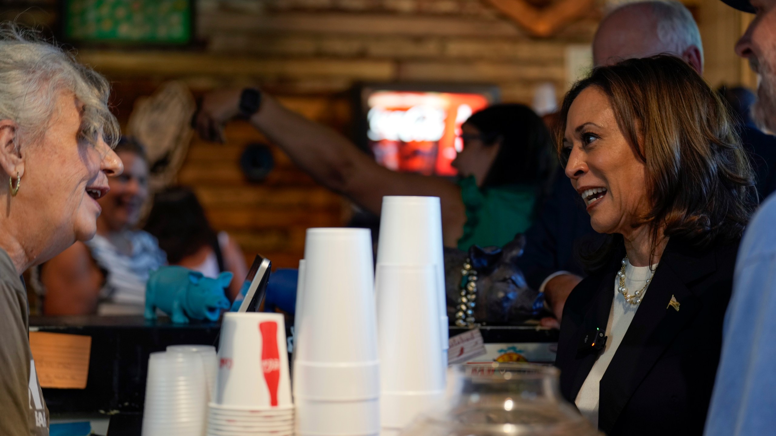 Democratic presidential nominee Vice President Kamala Harris talks as she visits SandFly Bar-B-Q in Savannah, Ga., Wednesday, Aug. 28, 2024. (AP Photo/Jacquelyn Martin)