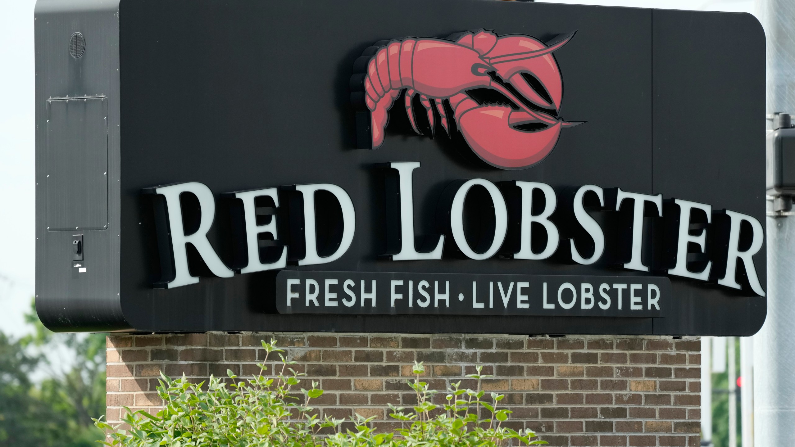 FILE - A Red Lobster restaurant is seen in Schaumburg, Ill., May 20, 2024. (AP Photo/Nam Y. Huh)