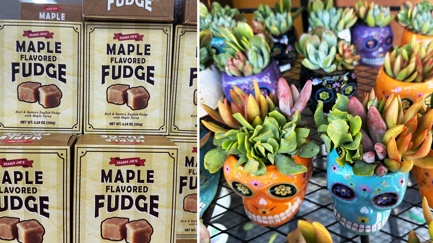 Kate Loweth /BestReviews illustration / Trader Joe’s fall products are here