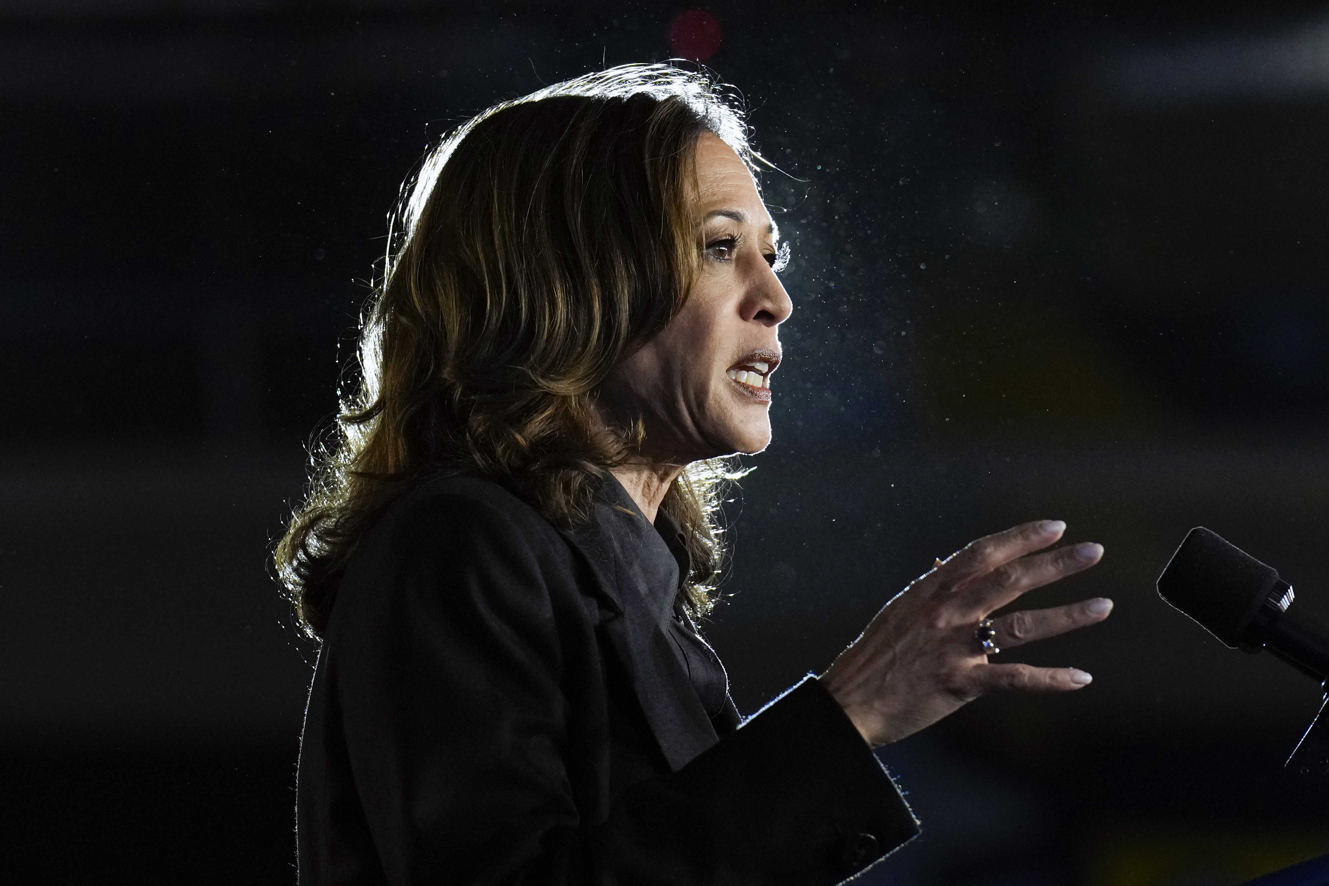 Democratic presidential nominee Vice President Kamala Harris speaks during a campaign event, Friday, Sept. 13, 2024, Wilkes-Barre, Pa. (AP Photo/Jacquelyn Martin)