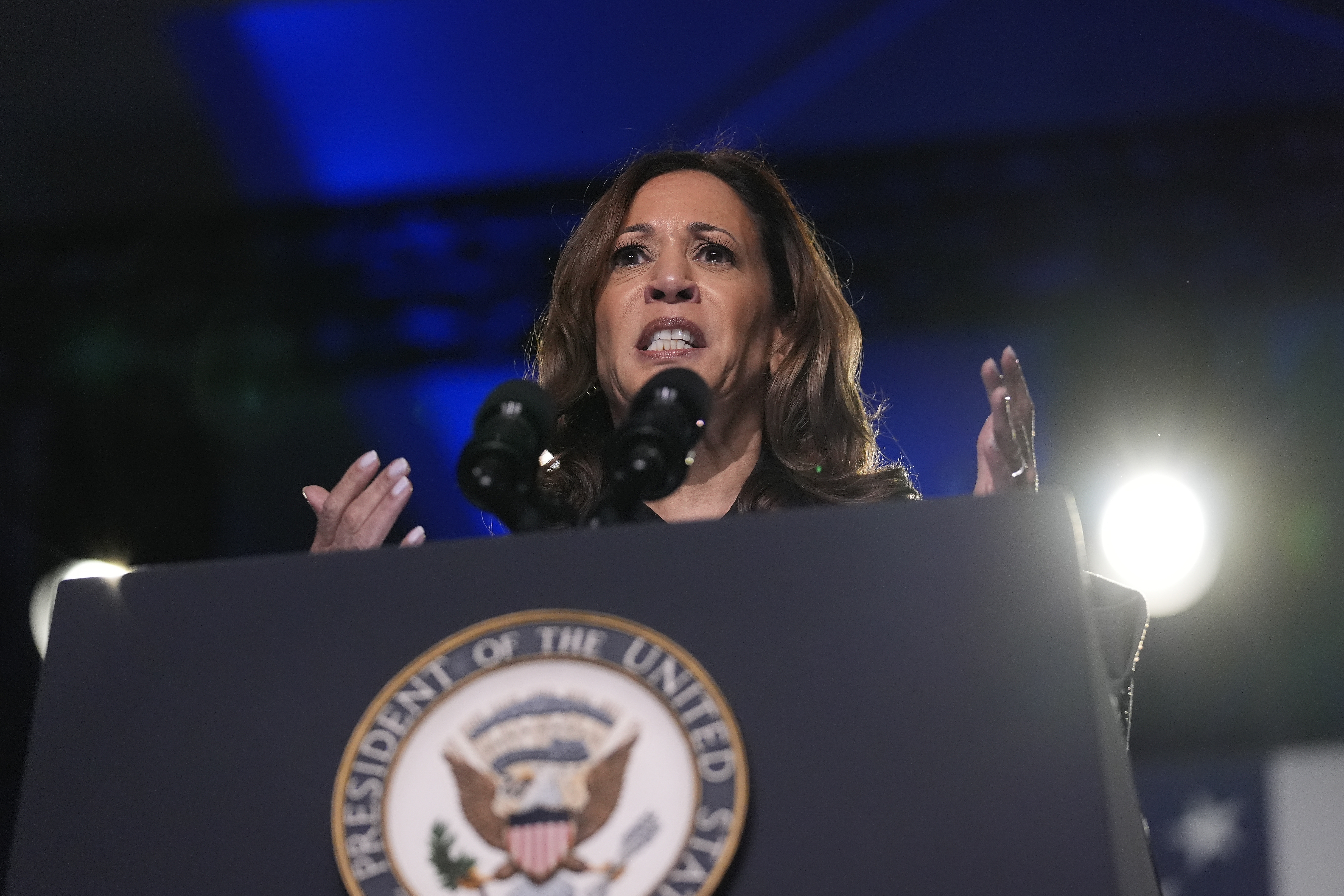 Vice President Kamala Harris speaks during a campaign event on {tdow}, {tmap} {tdy}, {tyr4}, in Atlanta. (AP Photo/Brynn Anderson)