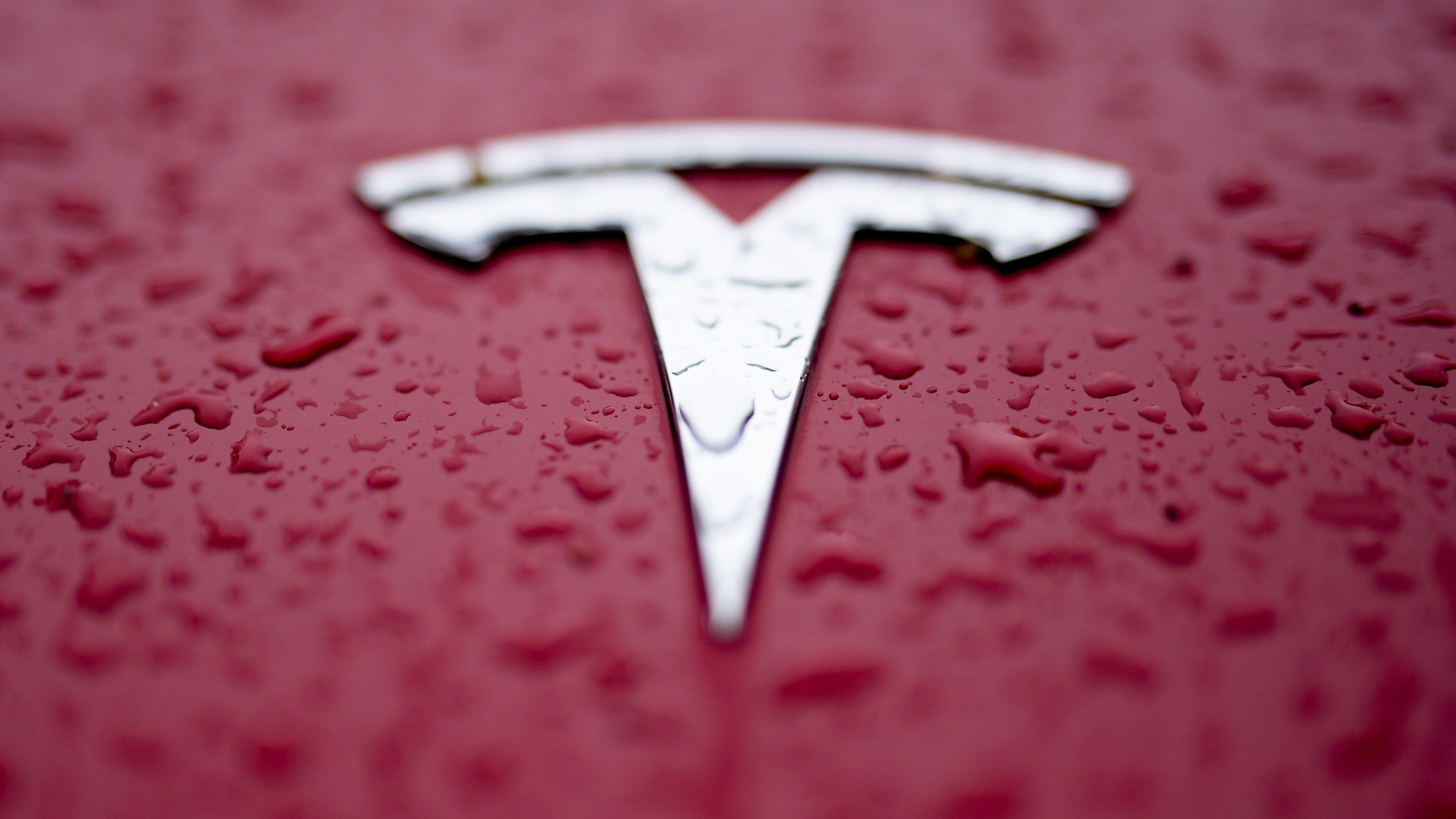 FILE - A Tesla logo is shown on Feb. 27, 2024, in Charlotte, N.C. (AP Photo/Chris Carlson, File)