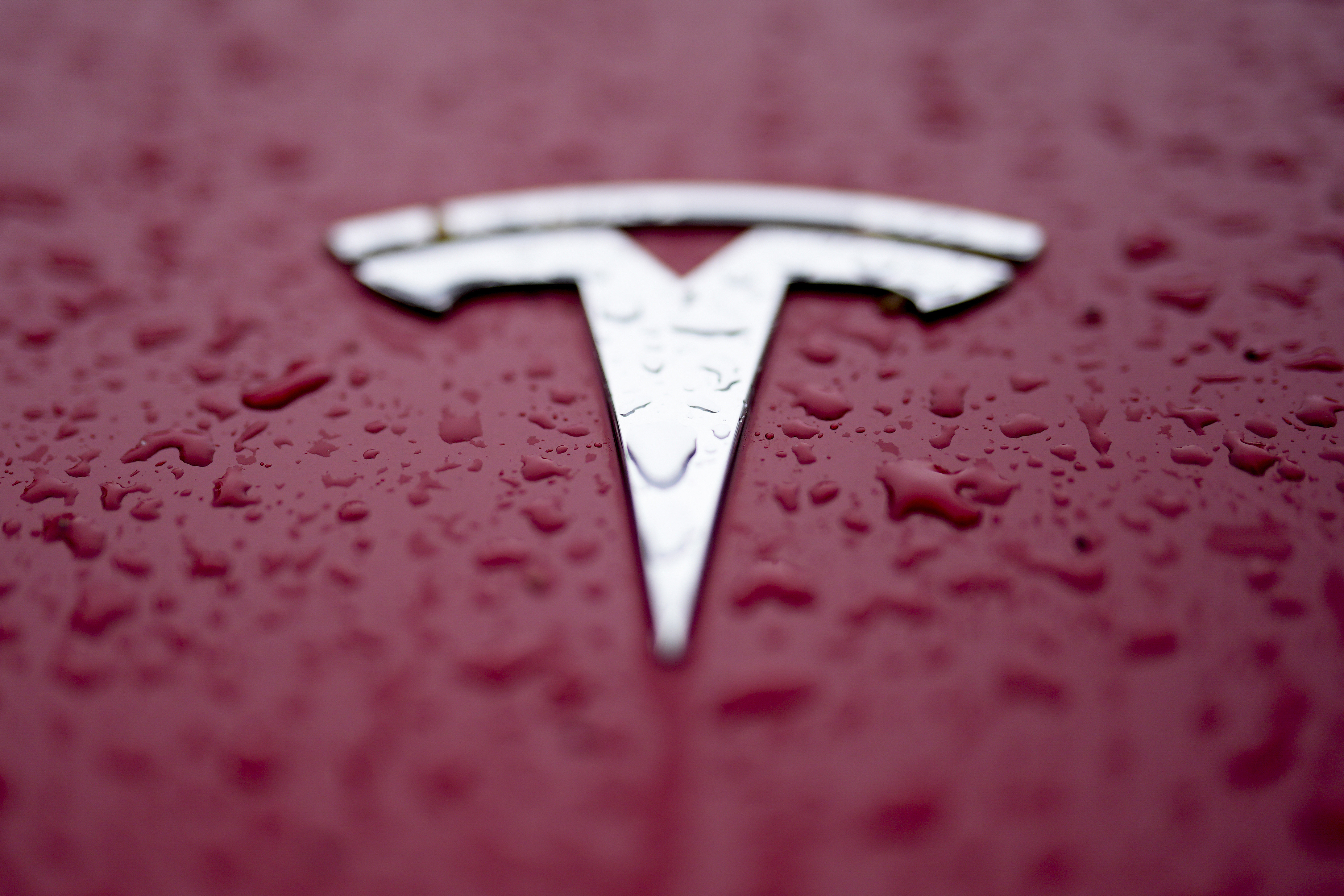 FILE - A Tesla logo is shown on Feb. 27, 2024, in Charlotte, N.C. (AP Photo/Chris Carlson, File)