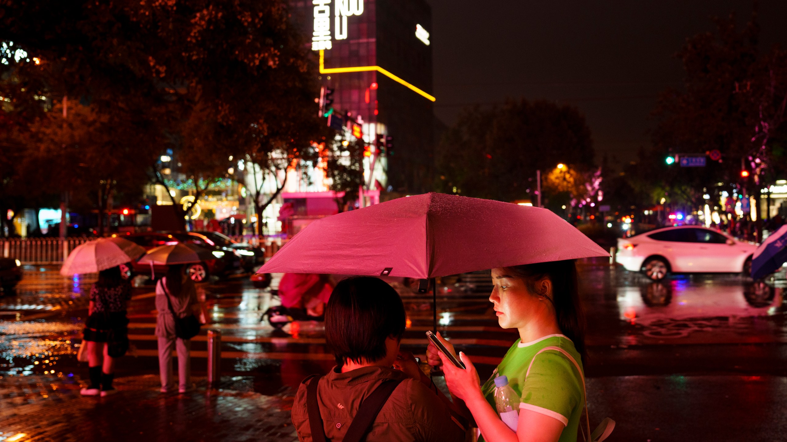 FILE - People look at their phones while waiting to cross an intersection in the rain at the Taikoo Li Sanlitun shopping center in Beijing, July, 30, 2024. (AP Photo/Vincent Thian, File)