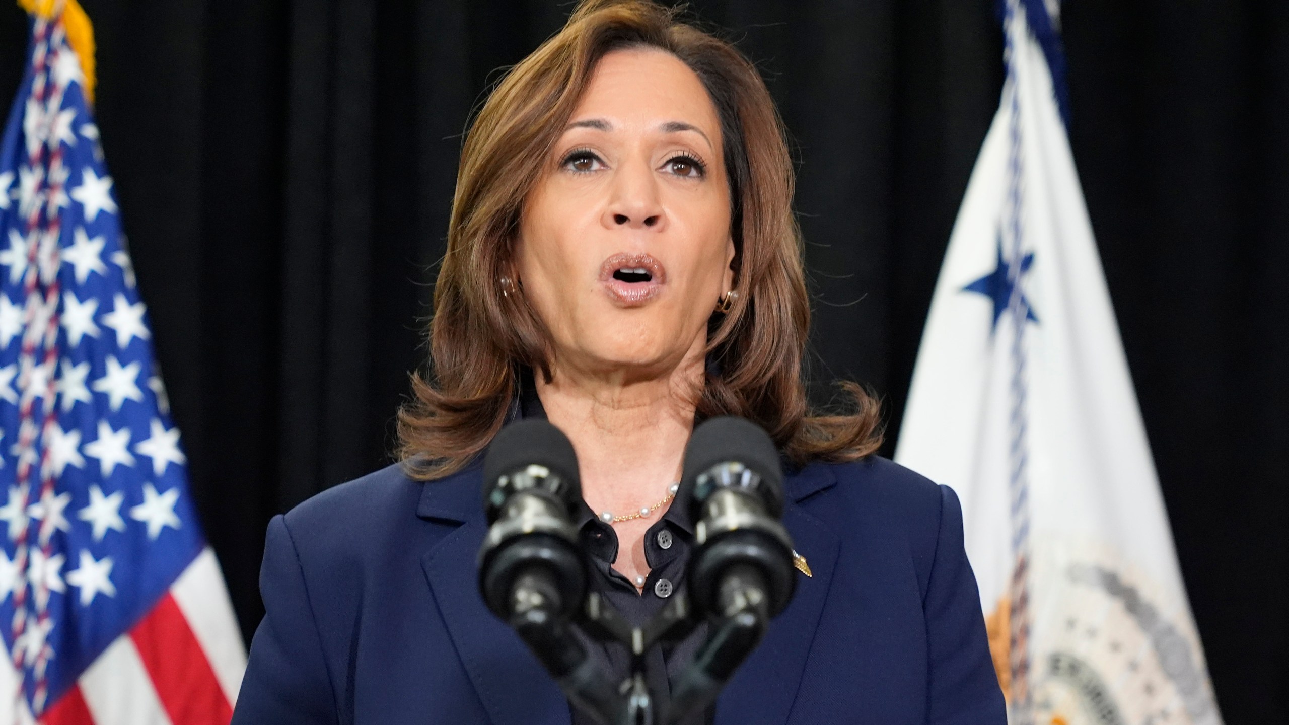 Democratic presidential nominee Vice President Kamala Harris speaks about the killing of Hamas' top leader Yahya Sinwar in a battle with Israeli forces in Gaza, Thursday, Oct. 17, 2024, following a campaign rally at the University of Wisconsin Milwaukee. (AP Photo/Jacquelyn Martin)