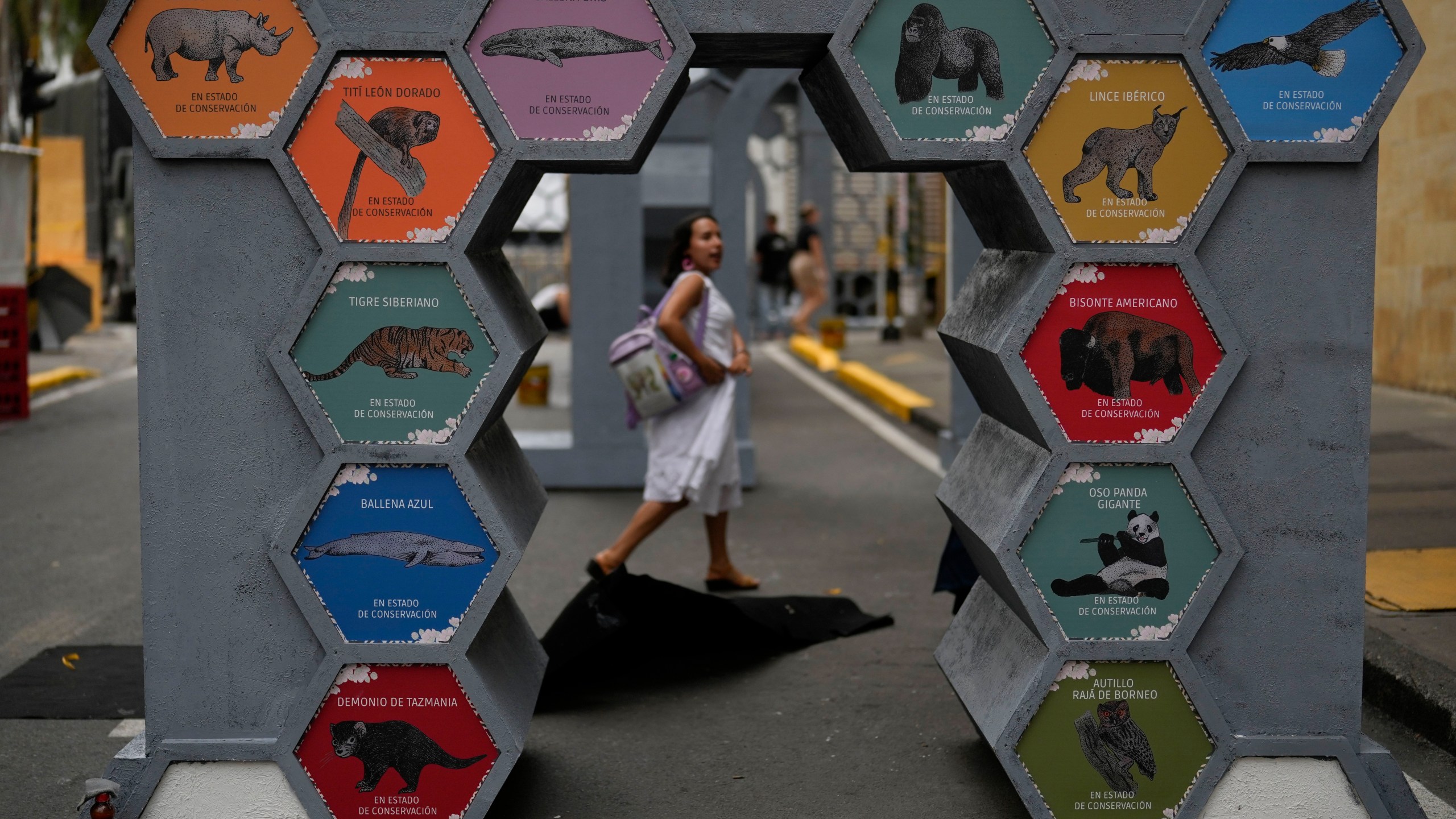 Animals in risk of extinction display is exhibited in the green zone, a day ahead of the COP16 United Nations biodiversity conference, in host city Cali, Colombia, Saturday, Oct. 19, 2024. (AP Photo/Fernando Vergara)