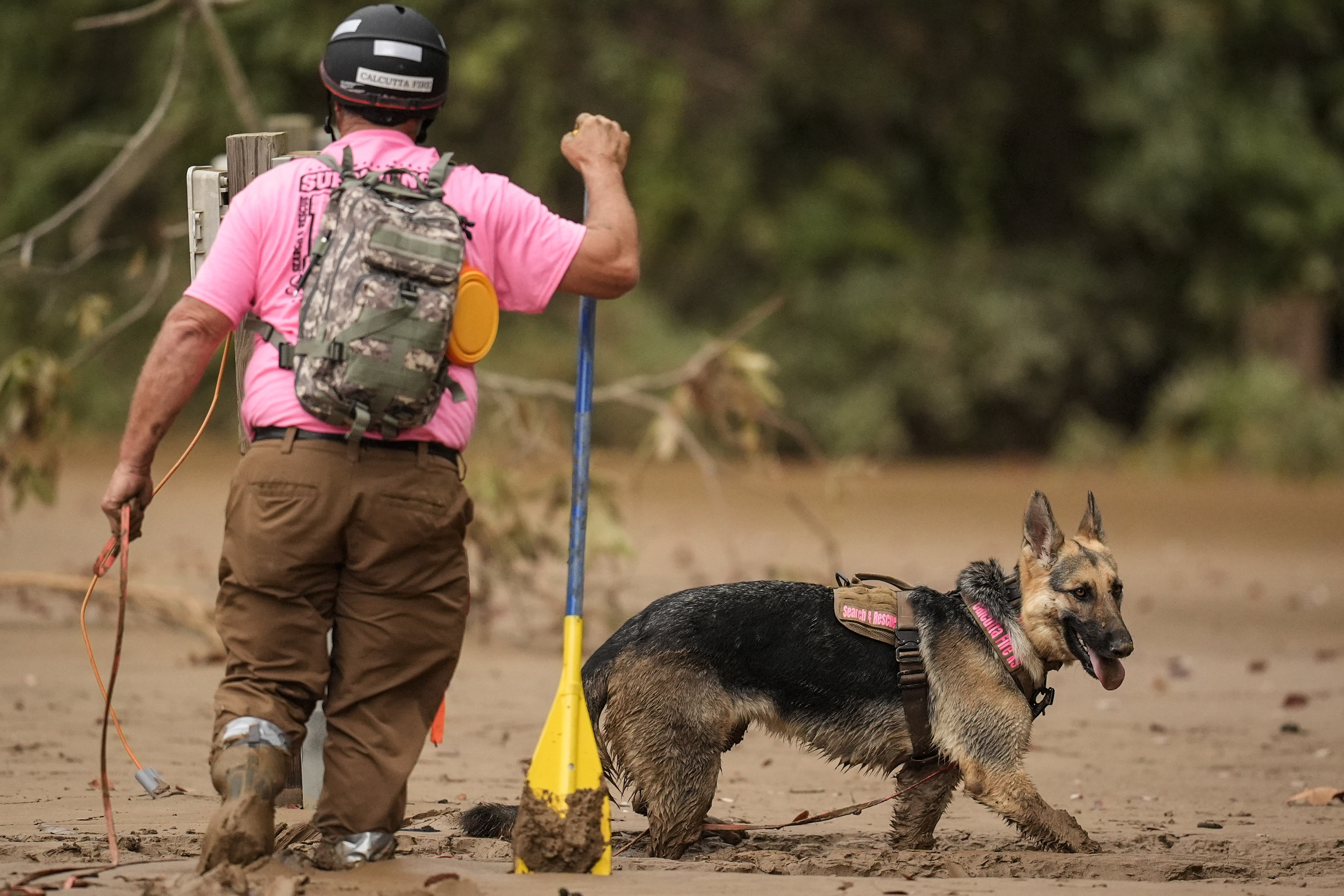 A search and rescue dog and handler searches for victims in deep mud in the aftermath of Hurricane Helene, Tuesday, Oct. 1, 2024, in Swannanoa, N.C. (AP Photo/Mike Stewart)