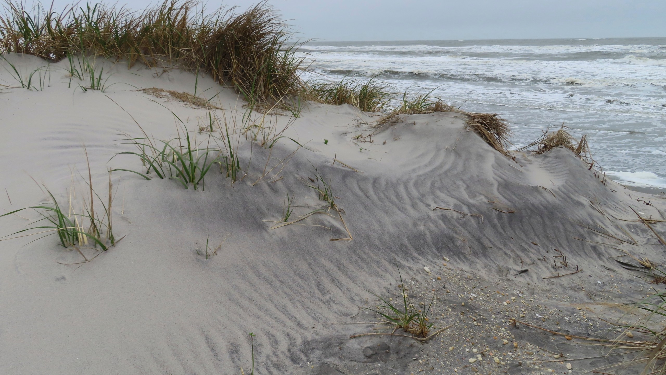 An undeveloped stretch of beach is seen on May 11, 2022, in Brigantine, N.J., where opponents of offshore wind projects worry about adverse affects from construction and operation of the ocean-based turbines. (AP Photo/Wayne Parry)