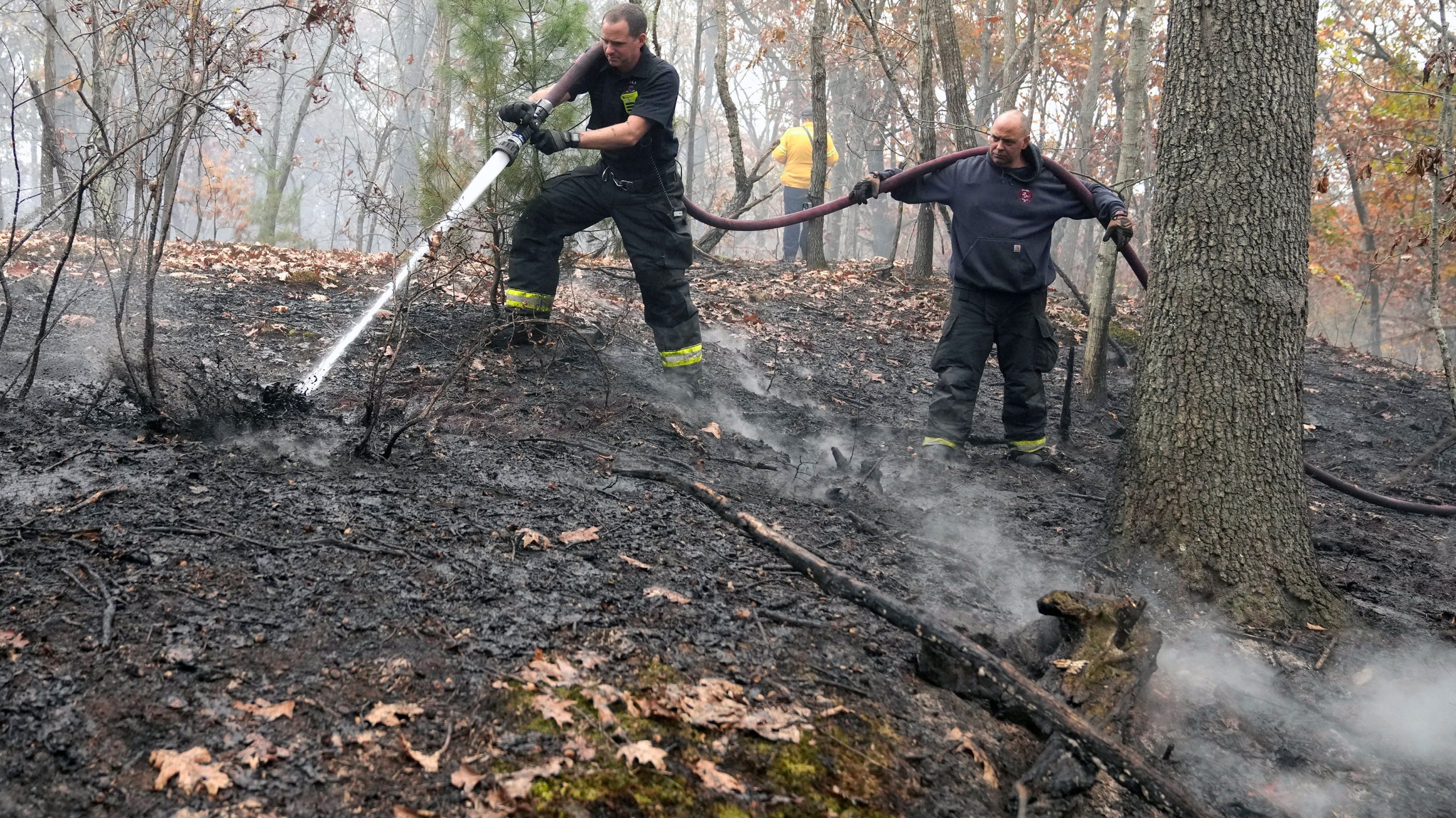 FILE - Firefighters work to put out a brush fire, Tuesday, Oct. 29, 2024, in Salem, Mass. (AP Photo/Steven Senne, File)