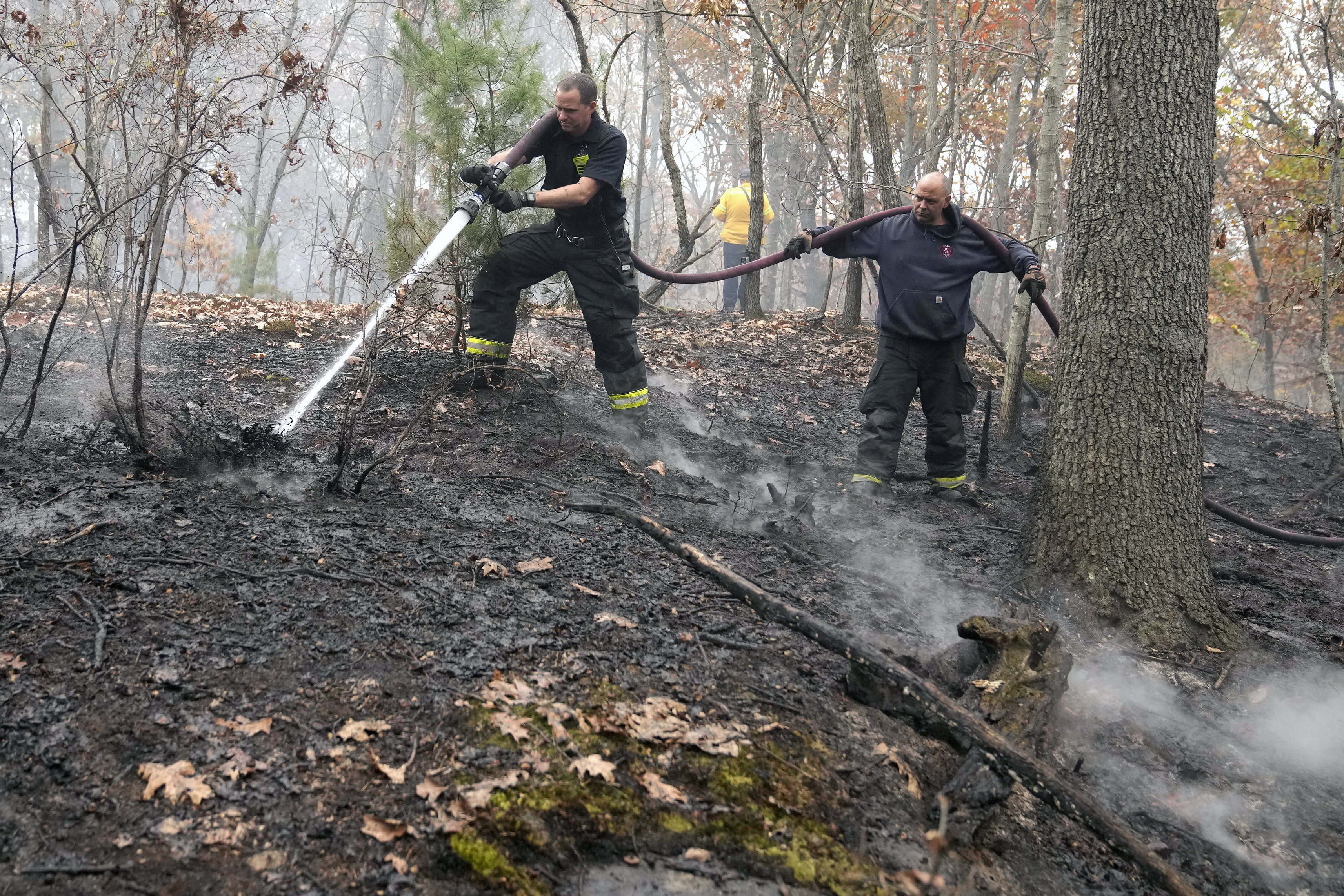 FILE - Firefighters work to put out a brush fire, Tuesday, Oct. 29, 2024, in Salem, Mass. (AP Photo/Steven Senne, File)