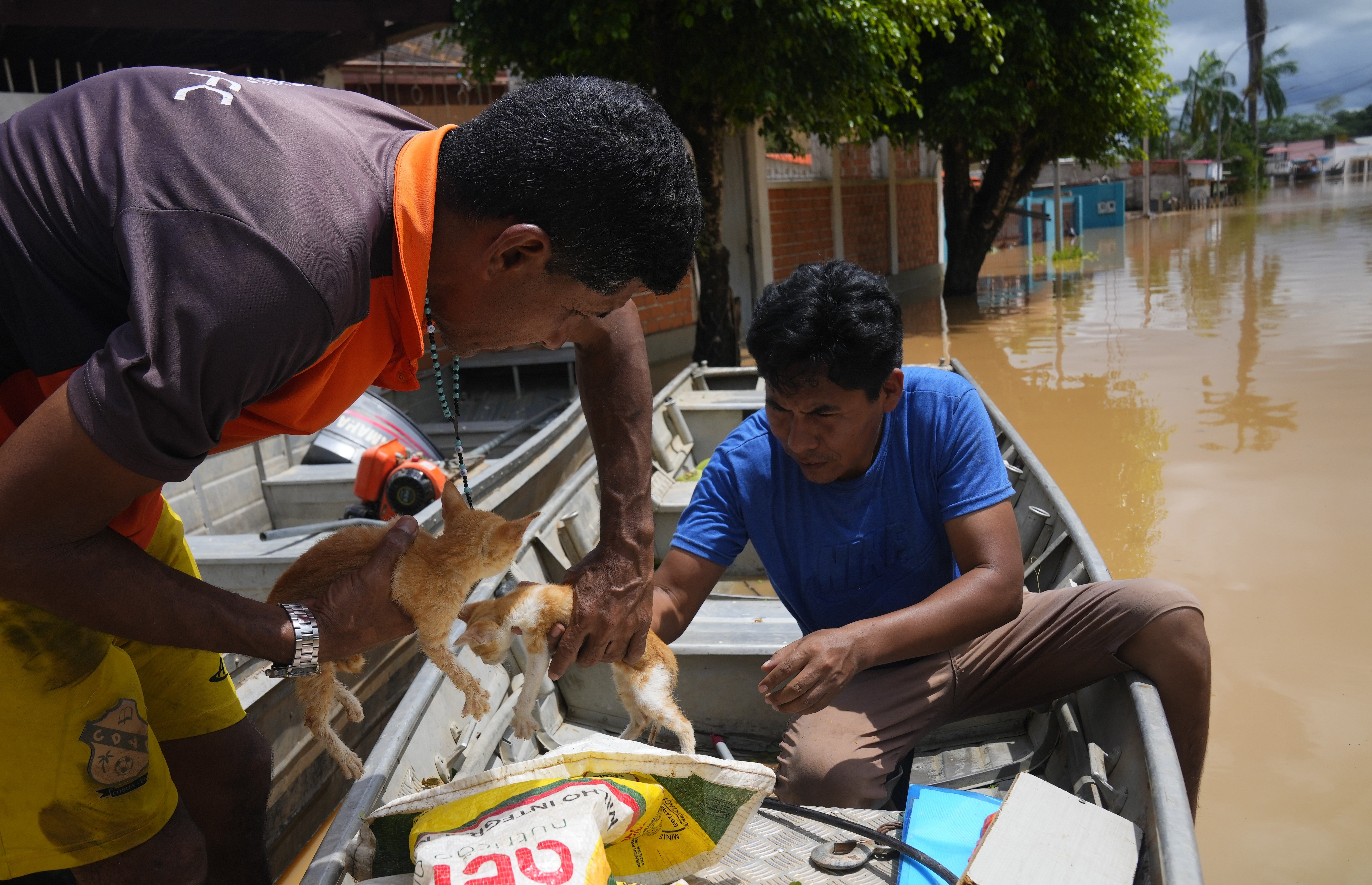 FILE - Residents rescue kittens from the roof of a flooded home in Cobija, Bolivia, Feb. 28, 2024. (AP Photo/Juan Karita, File)