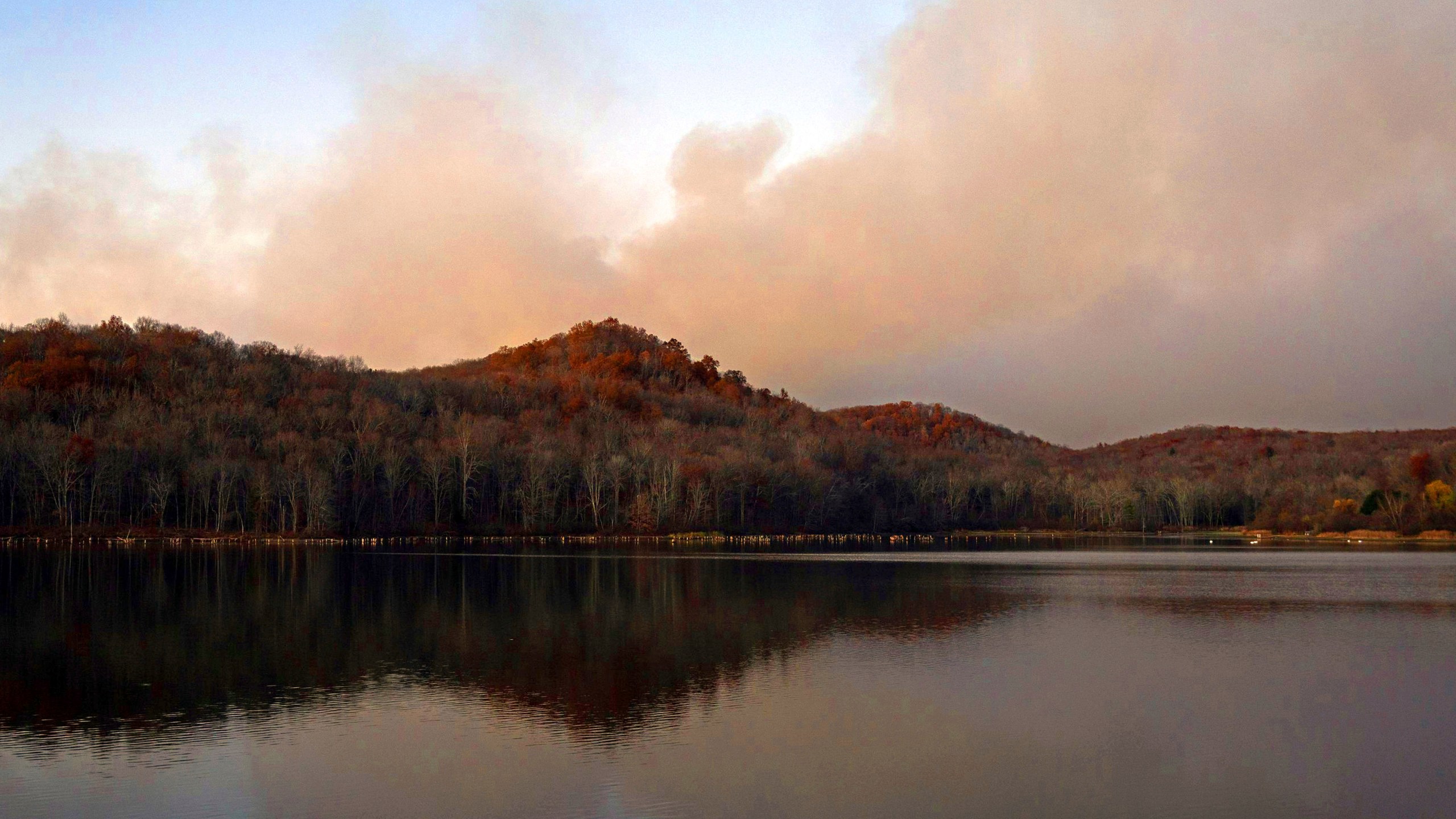 This image provided by New Jersey Department of Environmental Protection shows the wildfire in Jennings Creek, N.J., Saturday, Nov. 9, 2024. (New Jersey Department of Environmental Protection via AP)