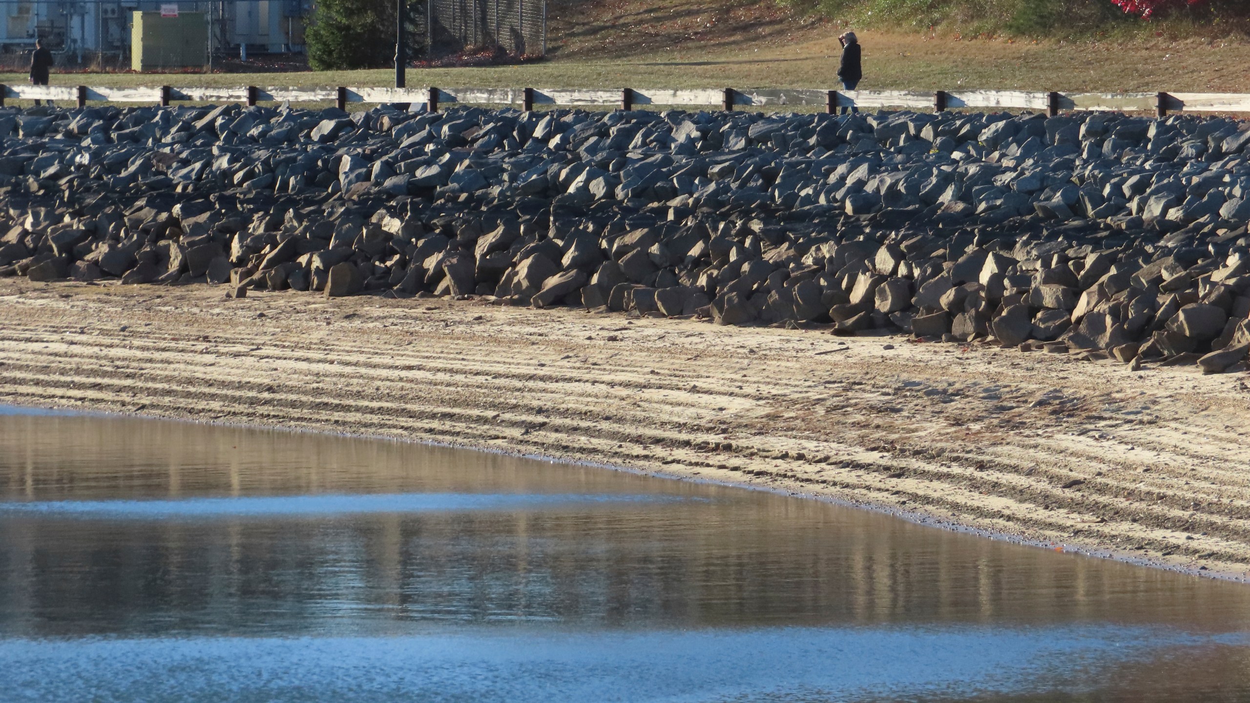 Water levels sit below normal at the Brick Reservoir in Brick N.J., on Tuesday, Nov. 12, 2024 amid record-breaking dry conditions in New Jersey. (AP Photo/Wayne Parry)