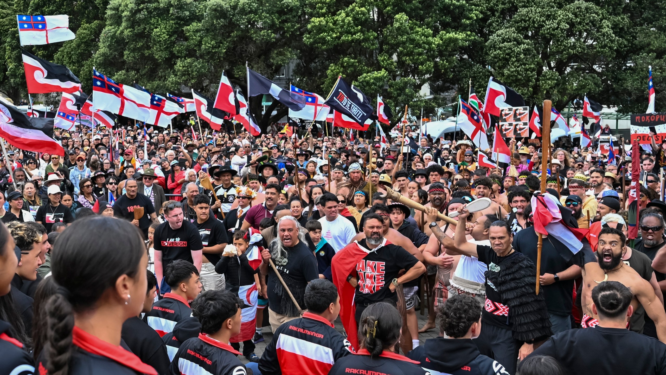 Thousands of people gather outside New Zealand's parliament to protest a proposed law that would redefine the country's founding agreement between Indigenous Māori and the British Crown, in Wellington Tuesday, Nov. 19, 2024. (AP Photo/Mark Tantrum)