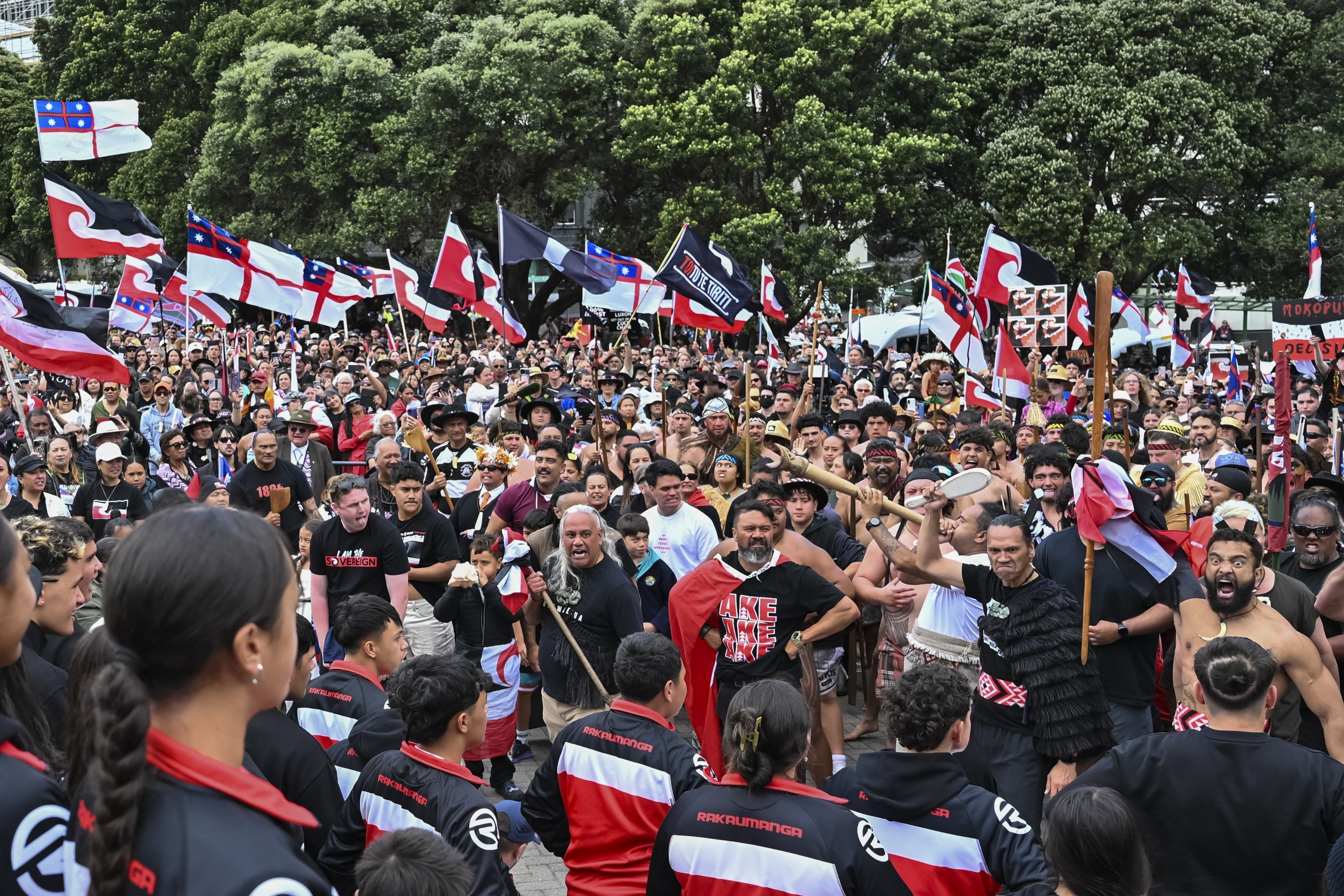 Thousands of people gather outside New Zealand's parliament to protest a proposed law that would redefine the country's founding agreement between Indigenous Māori and the British Crown, in Wellington Tuesday, Nov. 19, 2024. (AP Photo/Mark Tantrum)