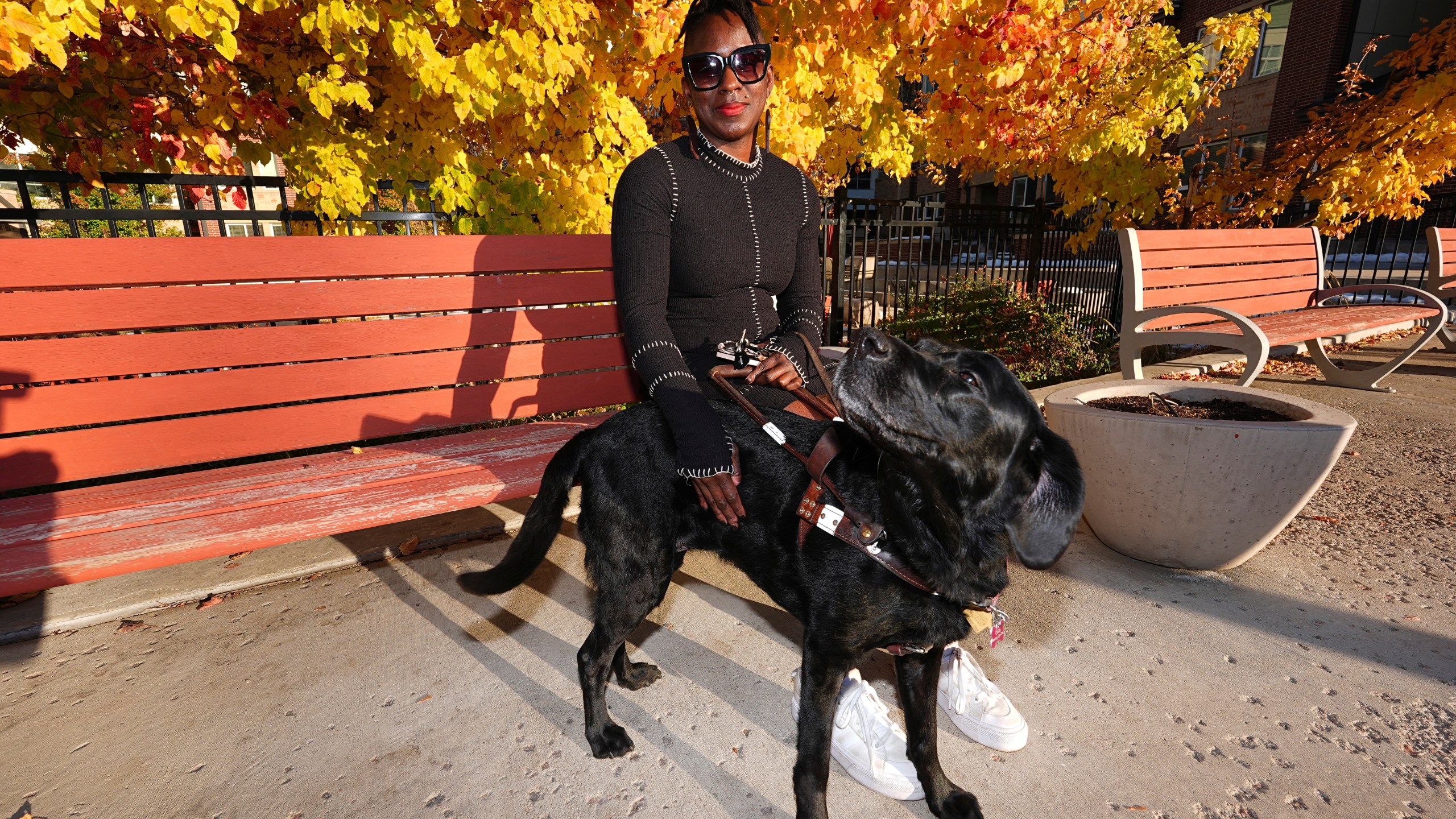 Amber Sherrard and her 10-year-old black Labrador Della are shown outside their home Friday, Nov. 15, 2024, in east Denver. (AP Photo/David Zalubowski)